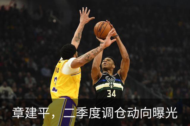 章建平，二季度调仓动向曝光