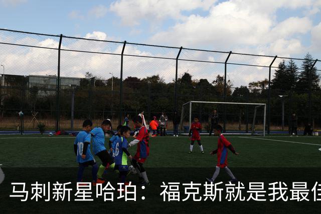 马刺新星哈珀：福克斯就是我最佳教练，没啥矛盾